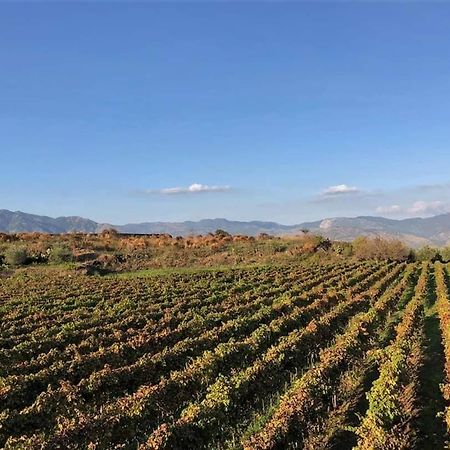 Animosa Suites Castiglione De Sicilia Dış mekan fotoğraf