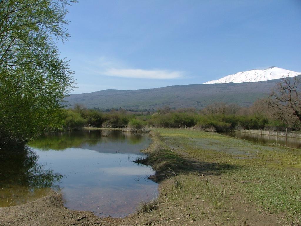 Animosa Suites Castiglione De Sicilia Dış mekan fotoğraf